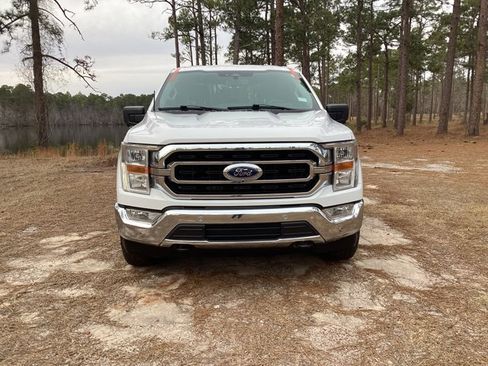 Used 2023 Ford F150 XLT w/ Equipment Group 301A Mid image 8