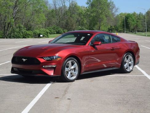 Used 2019 Ford Mustang Premium w/ Equipment Group 201A RWD image 19