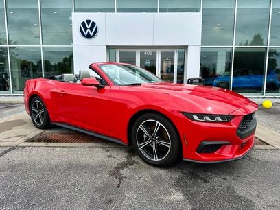 Used 2024 Ford Mustang Premium
