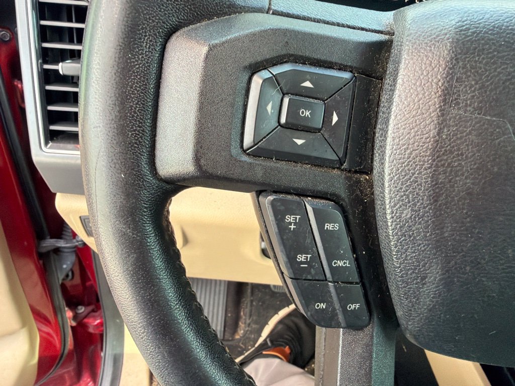 Used 2019 Ford F150 XLT w/ Equipment Group 302A Luxury RWD image 19