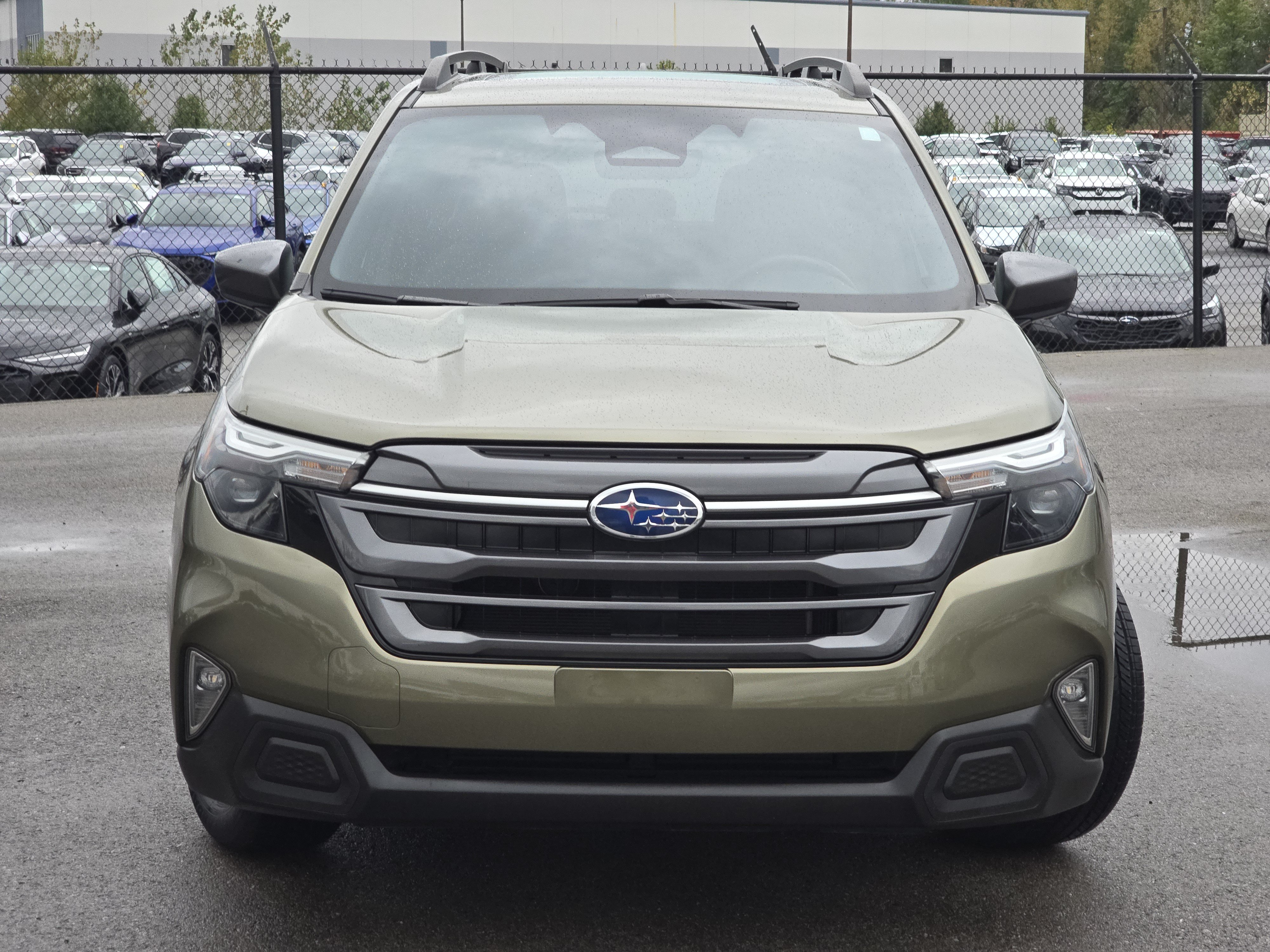 Certified 2025 Subaru Forester Premium AWD/4WD image 2