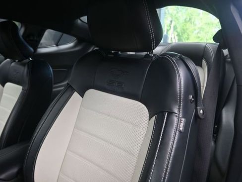 Used 2015 Ford Mustang 50 Years RWD image 17