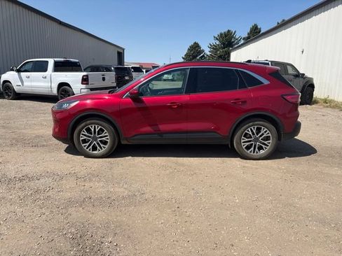 Used 2020 Ford Escape SEL AWD/4WD image 6