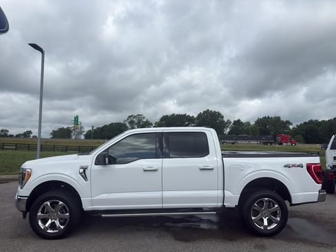 Used 2023 Ford F150 XLT w/ Equipment Group 302A High AWD/4WD image 8