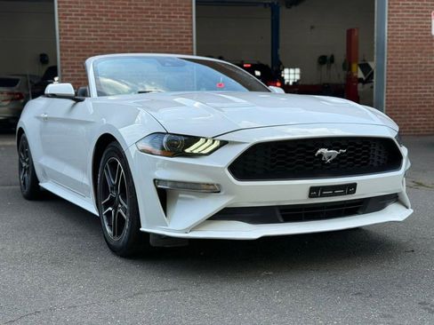 Used 2022 Ford Mustang Premium w/ Equipment Group 201A image 5