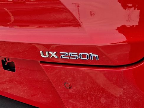 Used 2019 Lexus UX 250h w/ Premium Package image 30