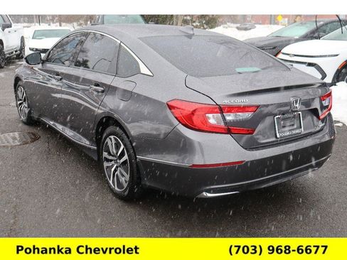 Used 2019 Honda Accord EX-L image 5