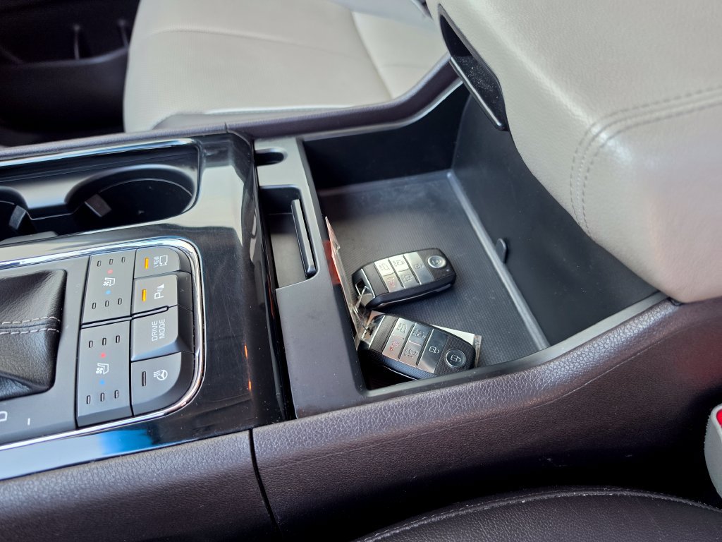 Used 2018 Kia Sedona SX Limited FWD image 22