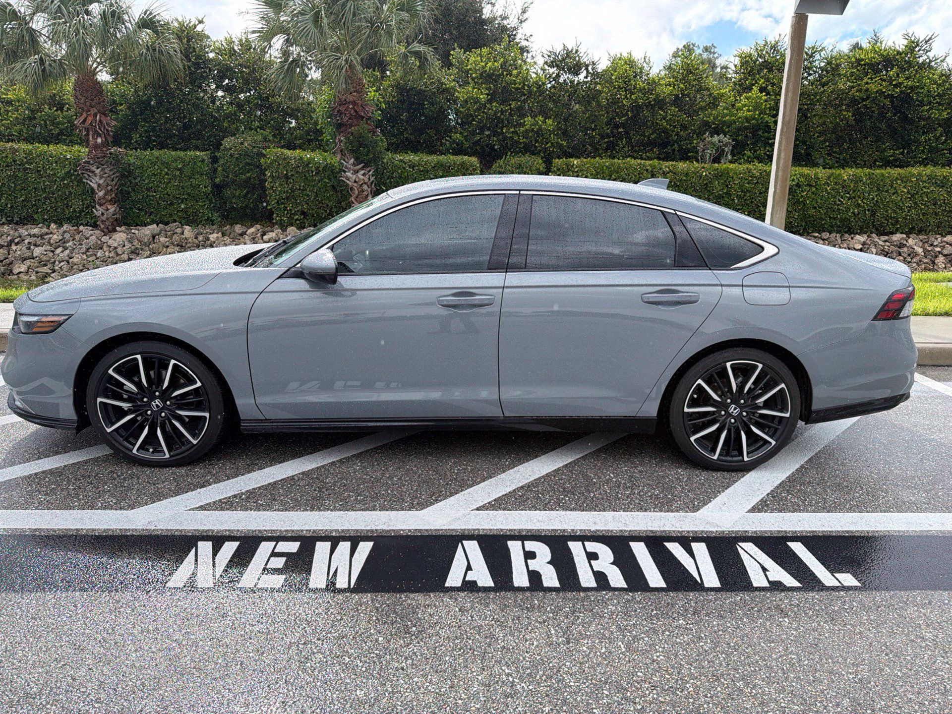 Used 2024 Honda Accord Touring image 8
