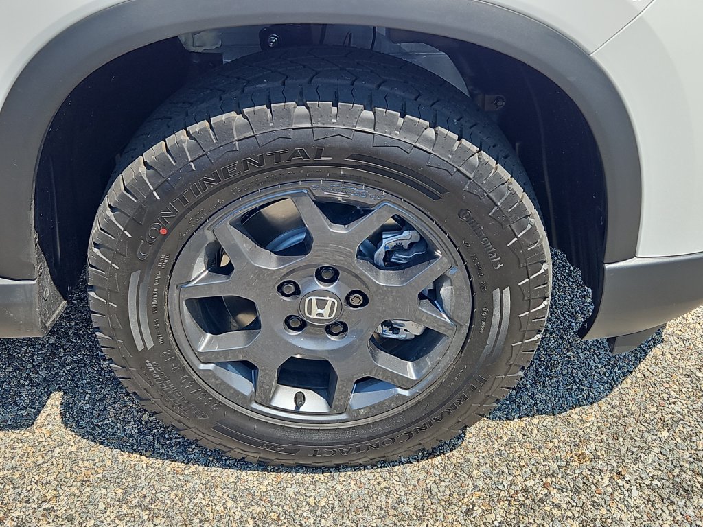 New 2026 Honda Pilot TrailSport image 4