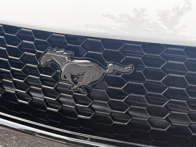 Used 2025 Ford Mustang GT Premium RWD image 10
