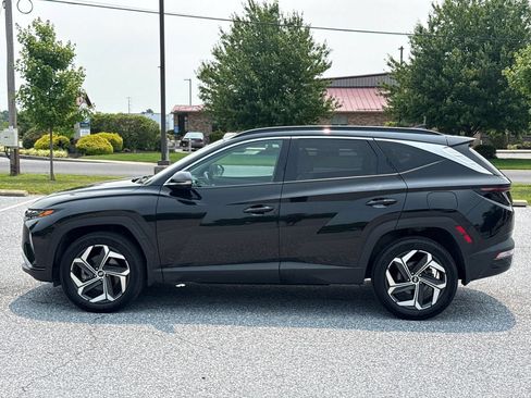 Used 2023 Hyundai Tucson Limited AWD/4WD image 5