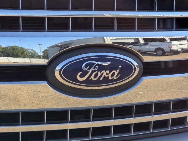 Used 2019 Ford F150 XLT w/ Equipment Group 302A Luxury AWD/4WD image 5