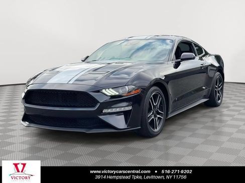Used 2023 Ford Mustang Coupe w/ Equipment Group 101A RWD image 1