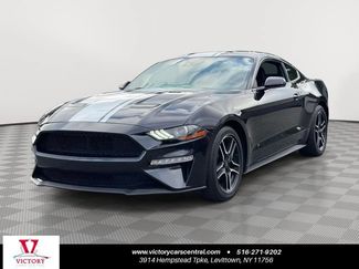 Used 2023 Ford Mustang Coupe w/ Equipment Group 101A RWD video 1
