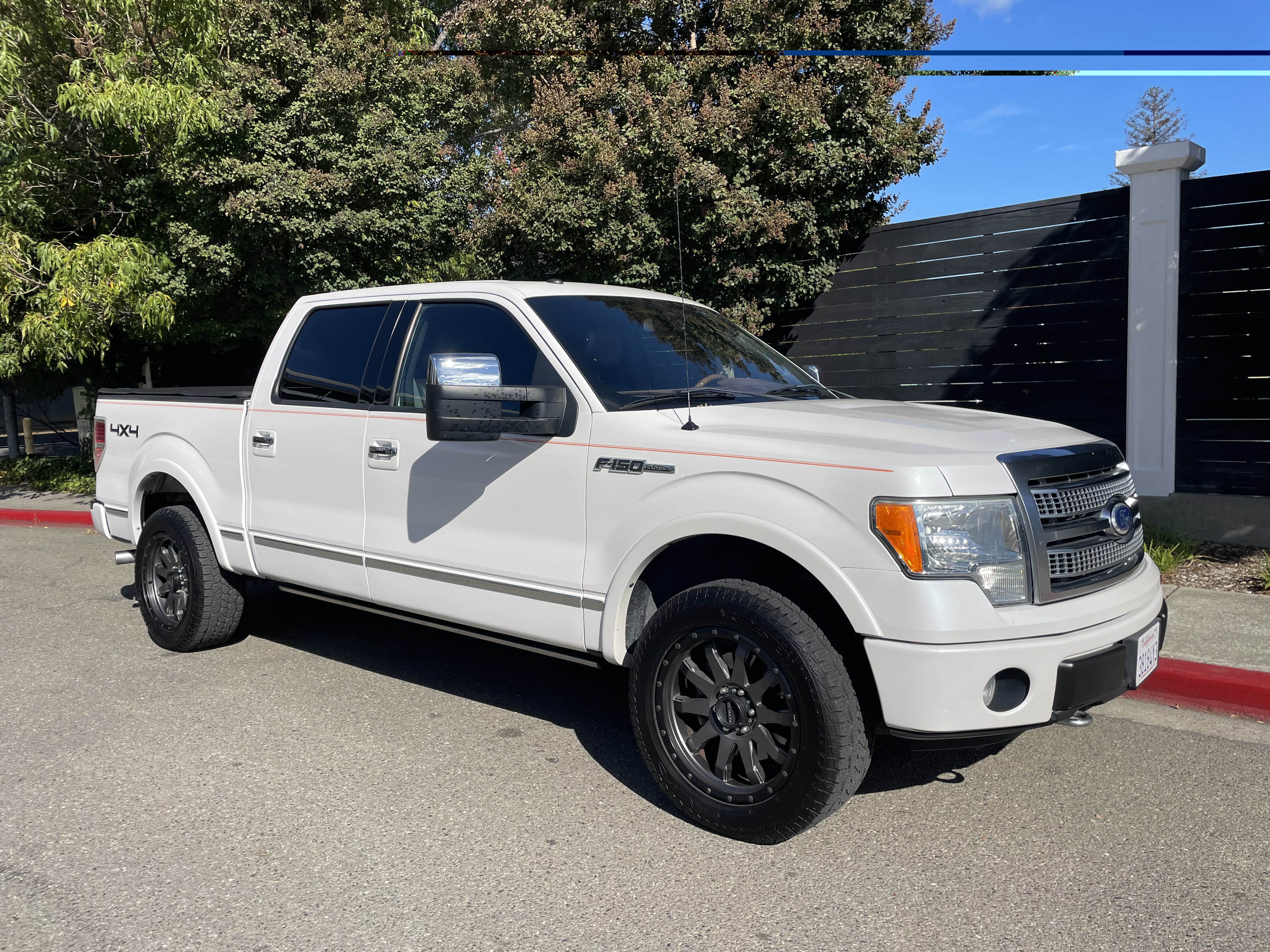 Used 2010 Ford F150 Platinum AWD/4WD image 3