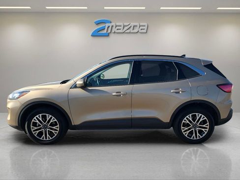 Used 2021 Ford Escape SEL image 2