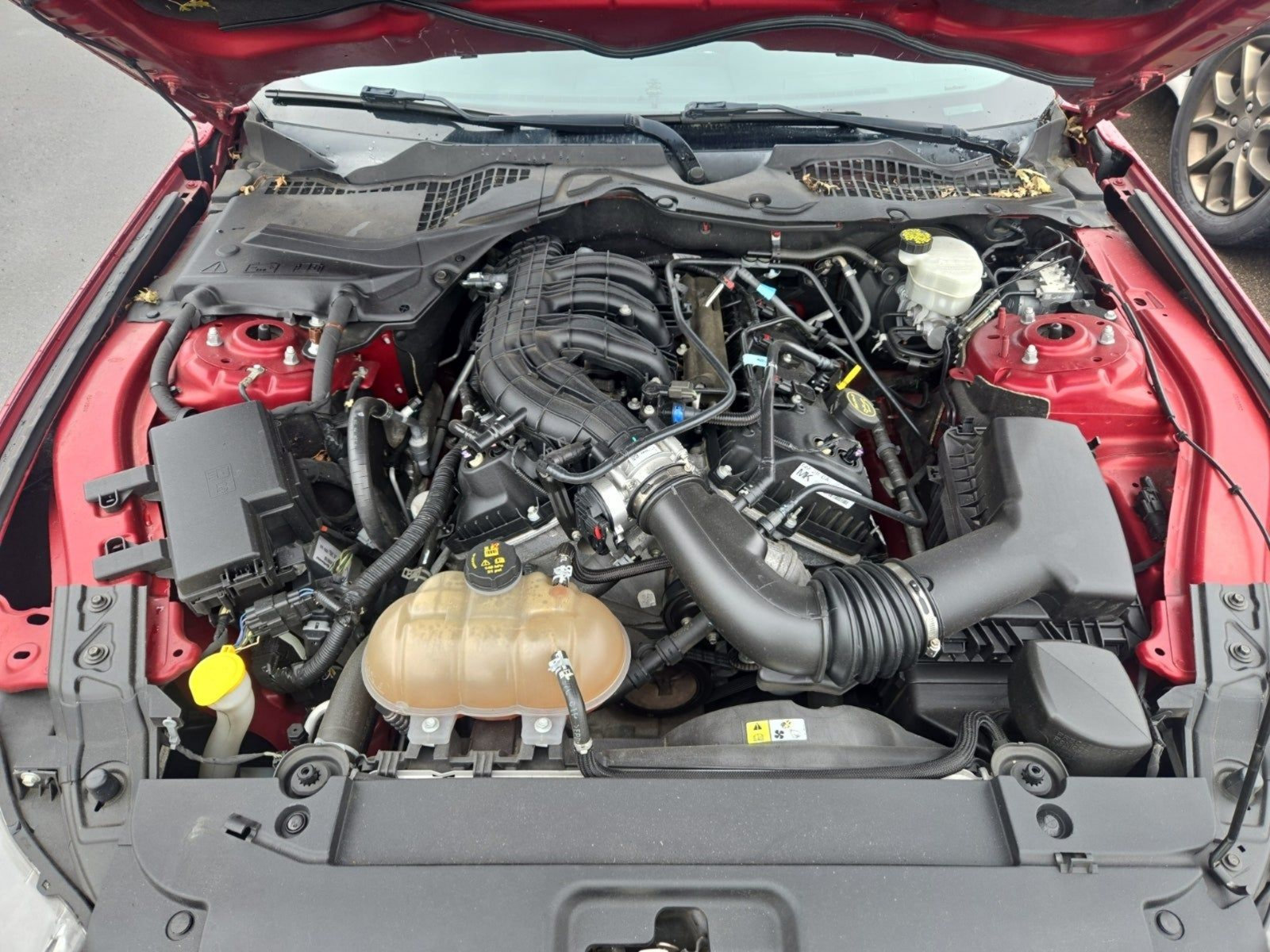Used 2017 Ford Mustang Coupe RWD image 5
