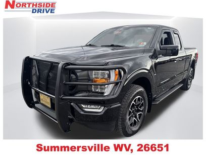 Used 2023 Ford F150 XLT w/ Equipment Group 302A High