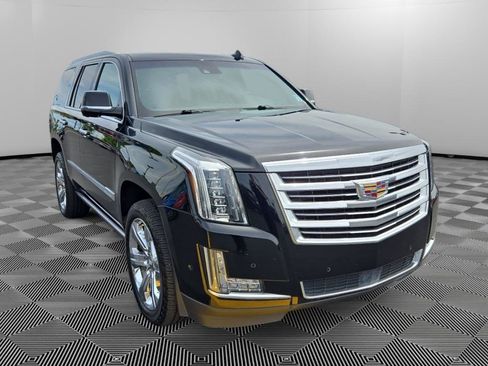 Used 2017 Cadillac Escalade Platinum AWD/4WD image 1