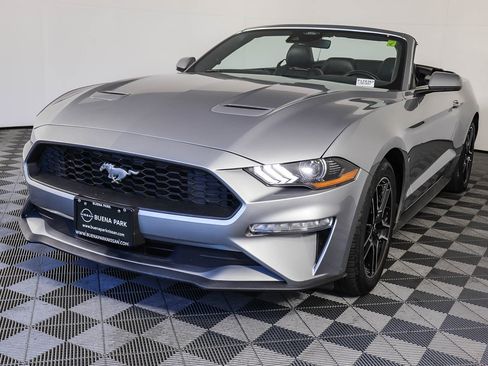 Used 2022 Ford Mustang Premium image 3
