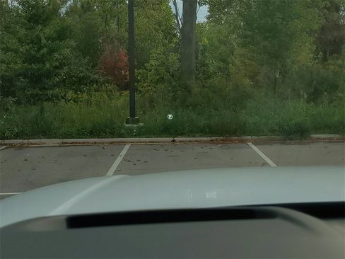 New 2025 Land Rover Range Rover SE image 12