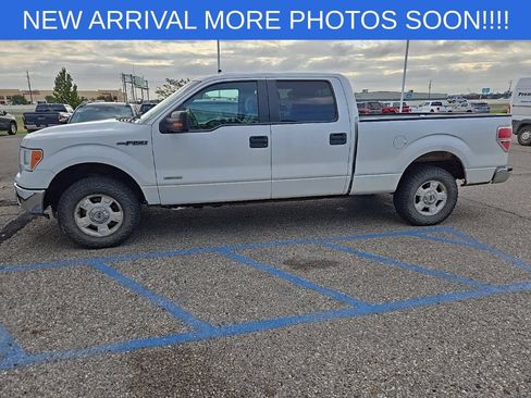 Used 2014 Ford F150 XLT w/ XLT Convenience Package AWD/4WD image 5