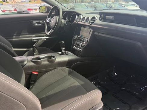 Used 2019 Ford Mustang Coupe w/ Ecoboost Performance Package RWD image 7