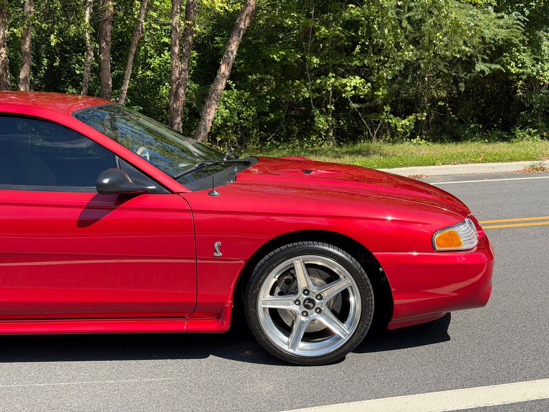 Used 1996 Ford Mustang Cobra RWD image 12