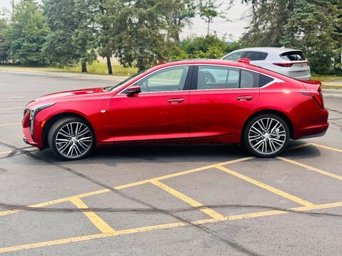 Used 2025 Cadillac CT5 Premium Luxury w/ Sun And Sound Package AWD/4WD image 8
