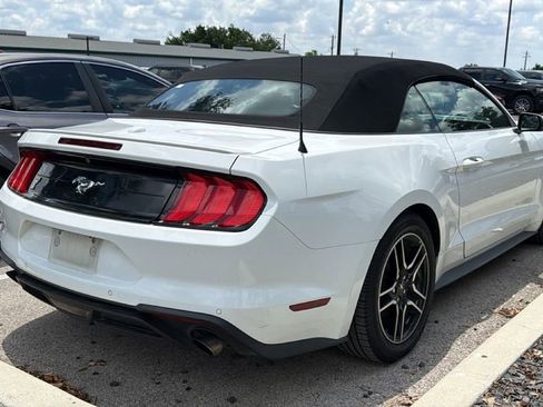 Used 2019 Ford Mustang Premium RWD image 6