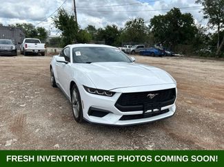 Used 2024 Ford Mustang Coupe RWD video 1