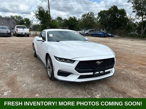 Used 2024 Ford Mustang Coupe RWD image 1