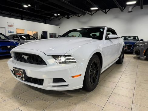 Used 2014 Ford Mustang Premium RWD image 17