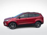 Used 2019 Ford Escape SEL image 5