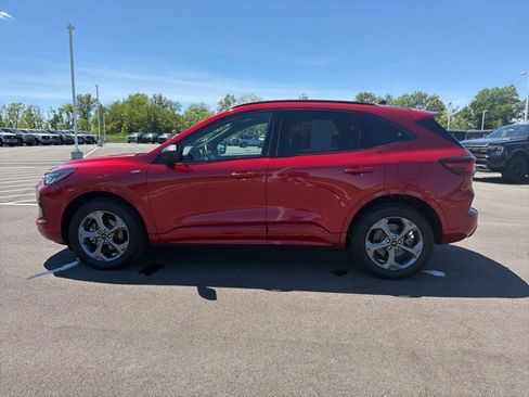 Used 2024 Ford Escape ST-Line AWD/4WD image 14