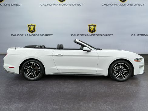 Used 2021 Ford Mustang Premium image 4