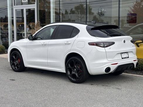 New 2025 Alfa Romeo Stelvio Tributo Italiano image 4