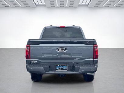 New 2025 Ford F150 XLT w/ Equipment Group 302A MID