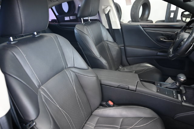 Used 2019 Lexus ES 350 w/ Accessory Package 2 FWD image 9