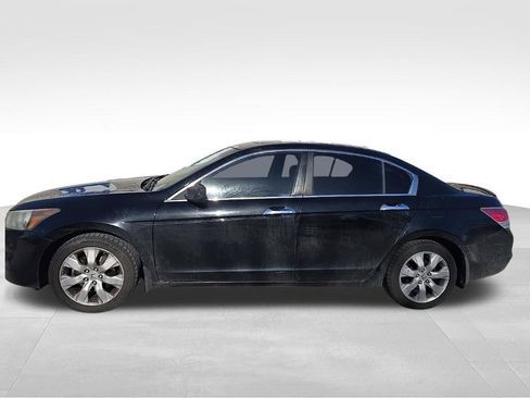 Used 2010 Honda Accord EX-L image 2