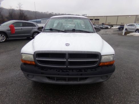 Used 2000 Dodge Dakota Base 2dr Standard Cab SB image 2