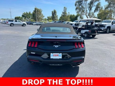 Used 2024 Ford Mustang Premium RWD image 5
