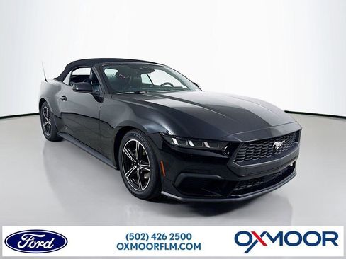 Certified 2024 Ford Mustang Premium image 1