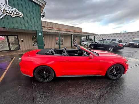 Used 2016 Ford Mustang Premium image 5