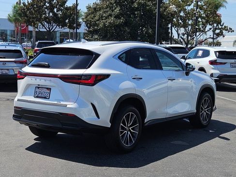 Used 2024 Lexus NX 350h AWD image 5