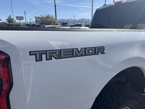 Used 2025 Ford F350 Platinum w/ Tremor Off-Road Package AWD/4WD image 28