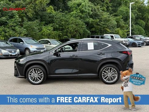 Used 2024 Lexus NX 350 AWD w/ Cold Area Package image 2