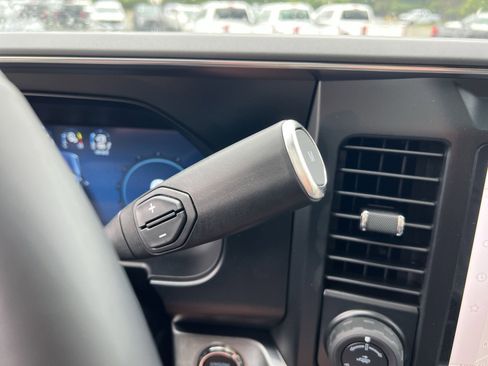 New 2025 Ford F250 Platinum image 22