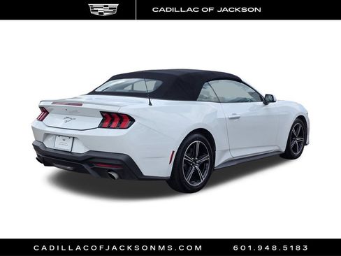 Used 2024 Ford Mustang Premium RWD image 5